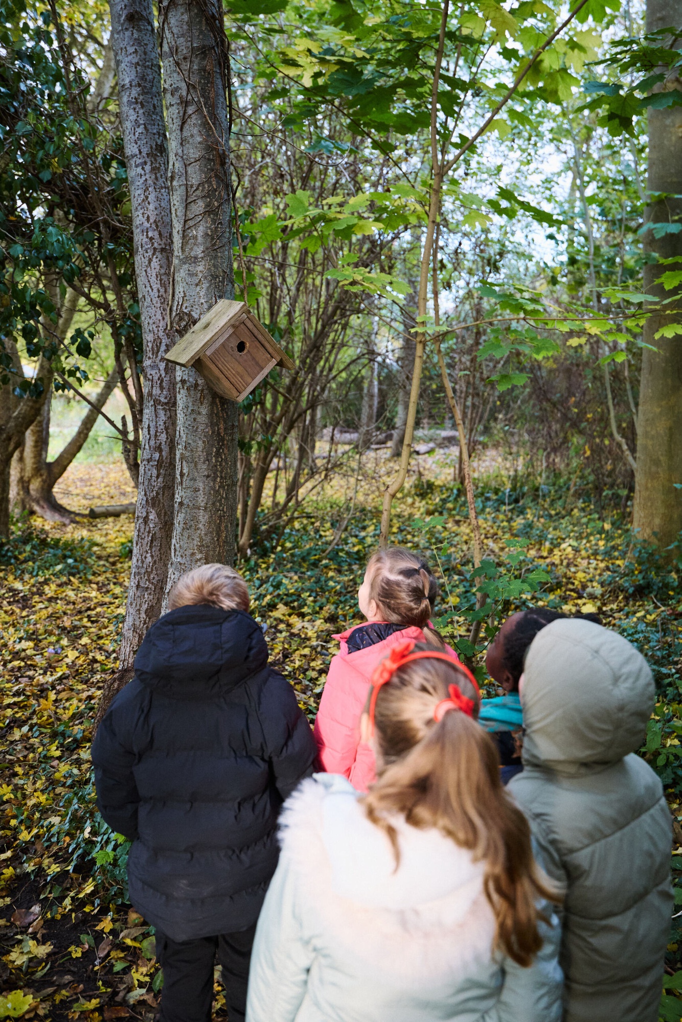 Children looking at a birdbox